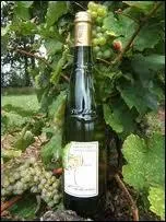 Le Gros-Plant est un vin blanc de quelle rgion ?