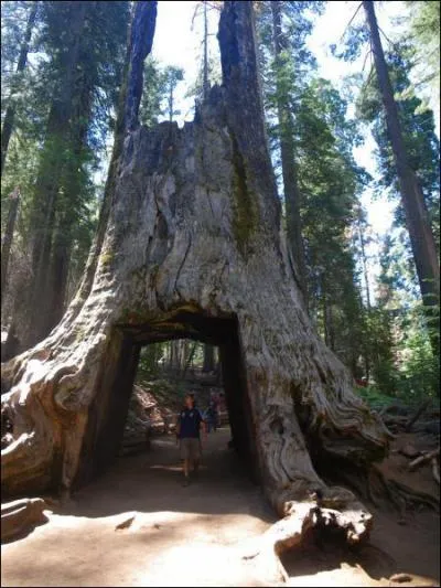 Dans quel parc amricain tes-vous ?