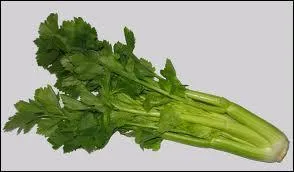 Quel est ce lgume ?