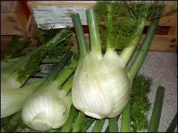 Quel est ce lgume ?