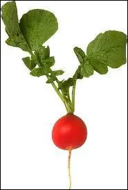 Quel est ce lgume ?