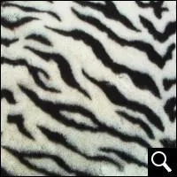 A quel animal appartient ce pelage ?