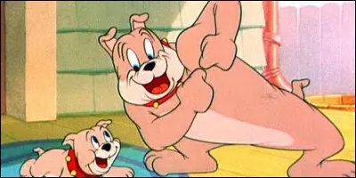Comment s'appelle le fils de Spike dans "Tom et Jerry" ?