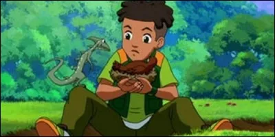 Dans "Gormiti", lequel d'entre eux est le Seigneur de la Nature ?