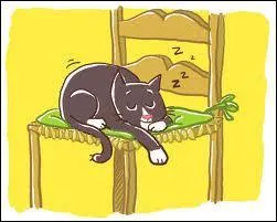 Quel est cet animal ?