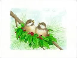 Que sont ces animaux ?