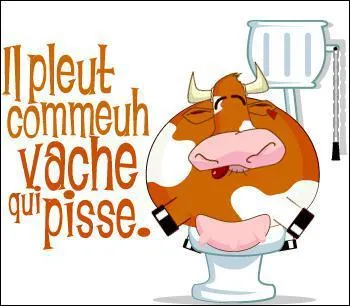 Que signifie l'expression : 'Il pleut comme vache qui pisse' ?