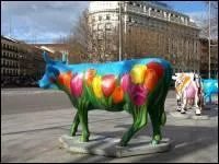 Dans quelle capitale europenne pouvons-nous croiser ce type de vache ?