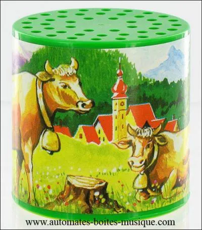 A quoi sert cette petite boite ?