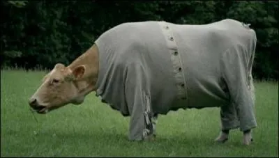 Humour. Depuis la maladie de la vache folle, les agriculteurs ont pris peur et ont habill leurs vaches avec... .