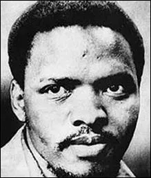 Steve Biko tait un militant noir d'Afrique du Sud, c'est l'une des grandes figures ( avec Nelson Mandela) de la lutte...