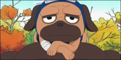 Dans "Naruto", à qui appartient ce chien nommé Pakkun ?