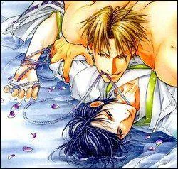 Quel est le nom du manga/anime dans lequel on peut retrouver ces deux personnages ?