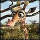 Comment se nomme cette girafe ?