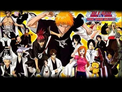 Quel est l'auteur de Bleach ?