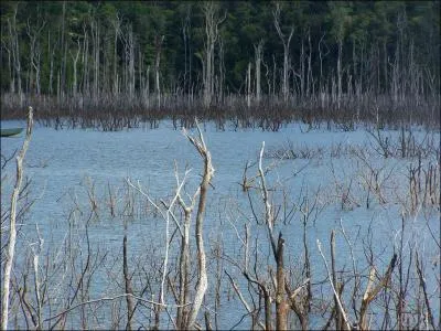 C'est le plus grand lac de barrage de Guyane, le barrage de ...