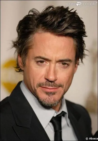 Quel super-hros a t interprt  l'cran par Robert Downey Jr ?