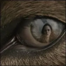 A qui appartiennent ces yeux ?