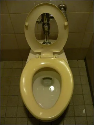 Dans leurs msaventures, Godefroy et Jacquouille prennent, les... pour un lave-mains.