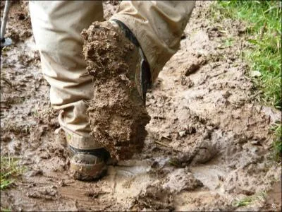 Grace au descendant d'Eusebius, Godefroy retourne au Moyen-Age. Mais c'et jacques-henri qui repart avec lui et qui se retrouve  ronfler dans...