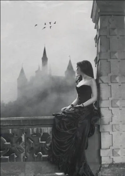 Qui chantait 'De toutes les filles qui vivaient ici tu es la seule sans mari' ?