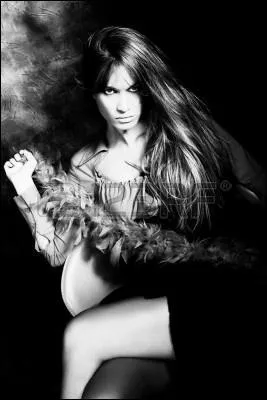 Qui chantait 'La fille du motel' ?