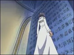 Quelles sont les critures qu'elle peut lire ?