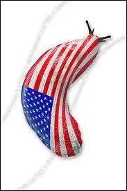 Quel est ce pays dont la capitale est Washington DC ?