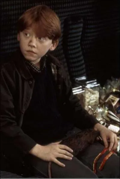 Comment s'appelle le rat de Ron ?