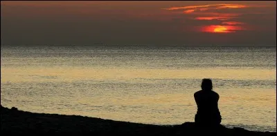 Qui a chanté 'Seul au monde' ?