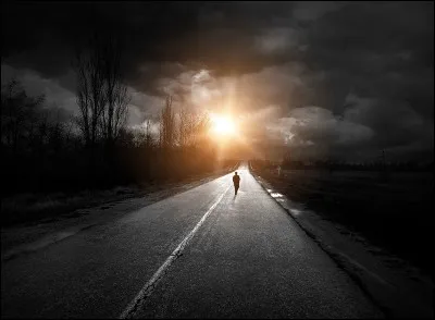 Qui chantait 'Je marche seul' ?