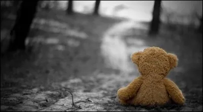 Qui a chanté 'La solitude ça s'apprend, c'est pour une femme qui vous ment, pour un ami qui vous vend' ?