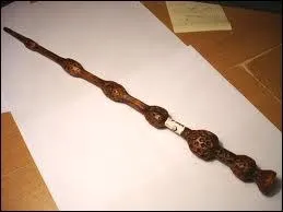 Qui prend la baguette de sureau  Dumbledore ?