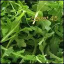 Que voyez-vous sur cette photo ?