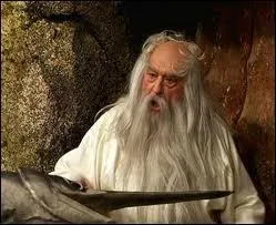 Qui interprte Panoramix dans ' Astrix et Oblix contre Csar' ?