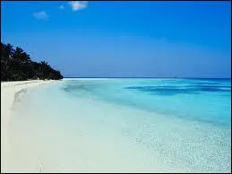 Compltez le titre : Le Kk ...