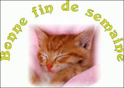 Traduisez les mots ' fin de semaine' en anglais et vous aurez le titre d'un sketch ?