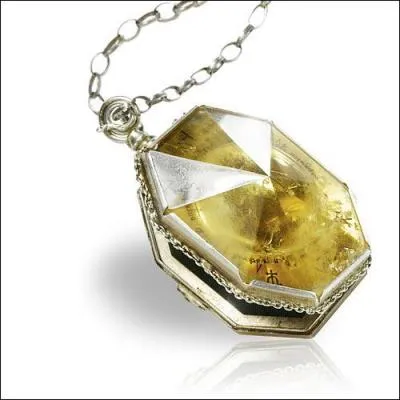 Qui dtruit le mdaillon ?