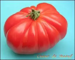 Tomate particulire, o vais-je me camoufler ?