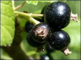 O suis-je parti me cacher ?