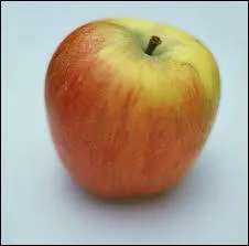 Encore une ! o va-t-elle se cacher ?