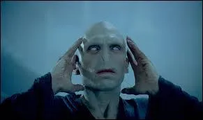 Qui tue Voldemort ?