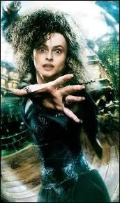 Qui a tu(e) Bellatrix Lestrange ?