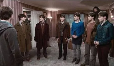 Qui transplane lors du transfert de Harry de chez les Dursleys au Terrier lors du septime film partie 1 ?