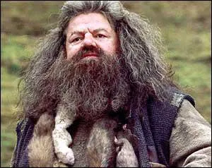 Quel acteur incarne le rle d'Hagrid, le garde forestier de Poudlard ?