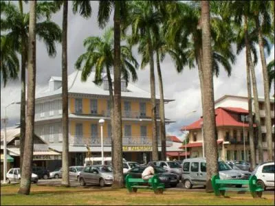 Cette place est la Place des palmistes, situe  ...