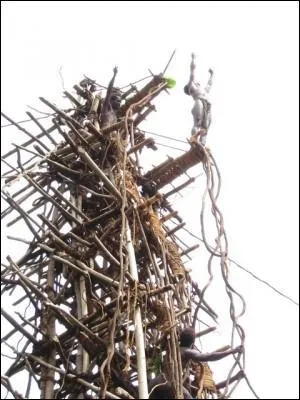 Ces hommes prouvent leur courage, en sautant d'une tour en bois, les pieds attachs par une corde ...