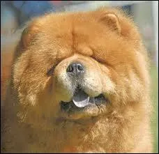 Que va-t-on faire de moi ?