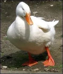 O aime-t-on me trouver ?