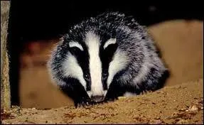 A quoi suis-je utile ?